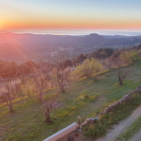 Отель Oasi Del Benessere Ilbono Экстерьер фото