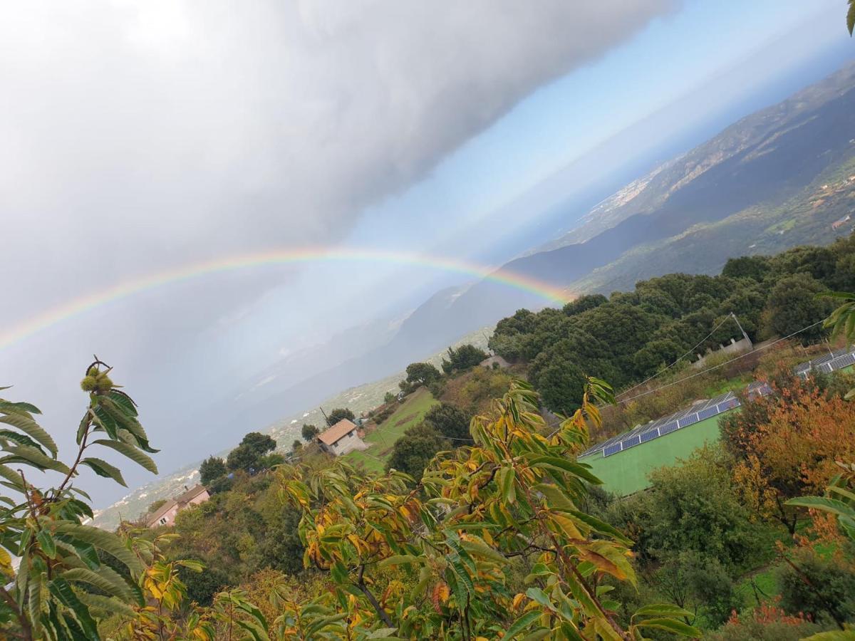 Отель Oasi Del Benessere Ilbono Экстерьер фото