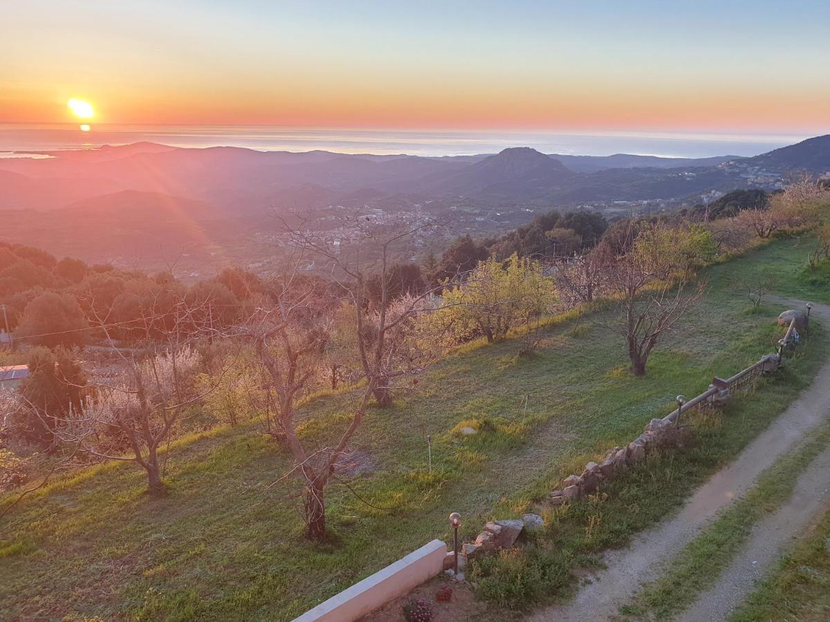 Отель Oasi Del Benessere Ilbono Экстерьер фото