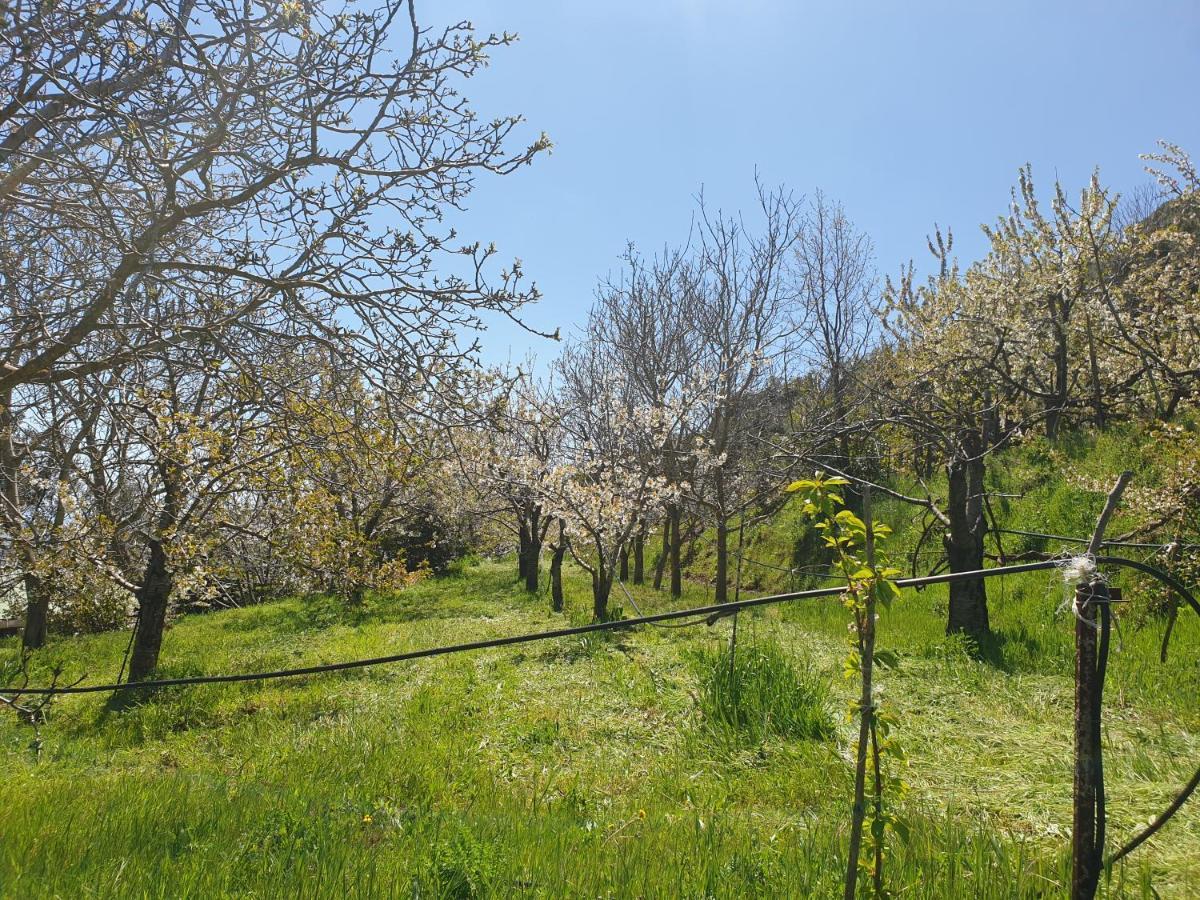 Oasi Del Benessere Ilbono Экстерьер фото