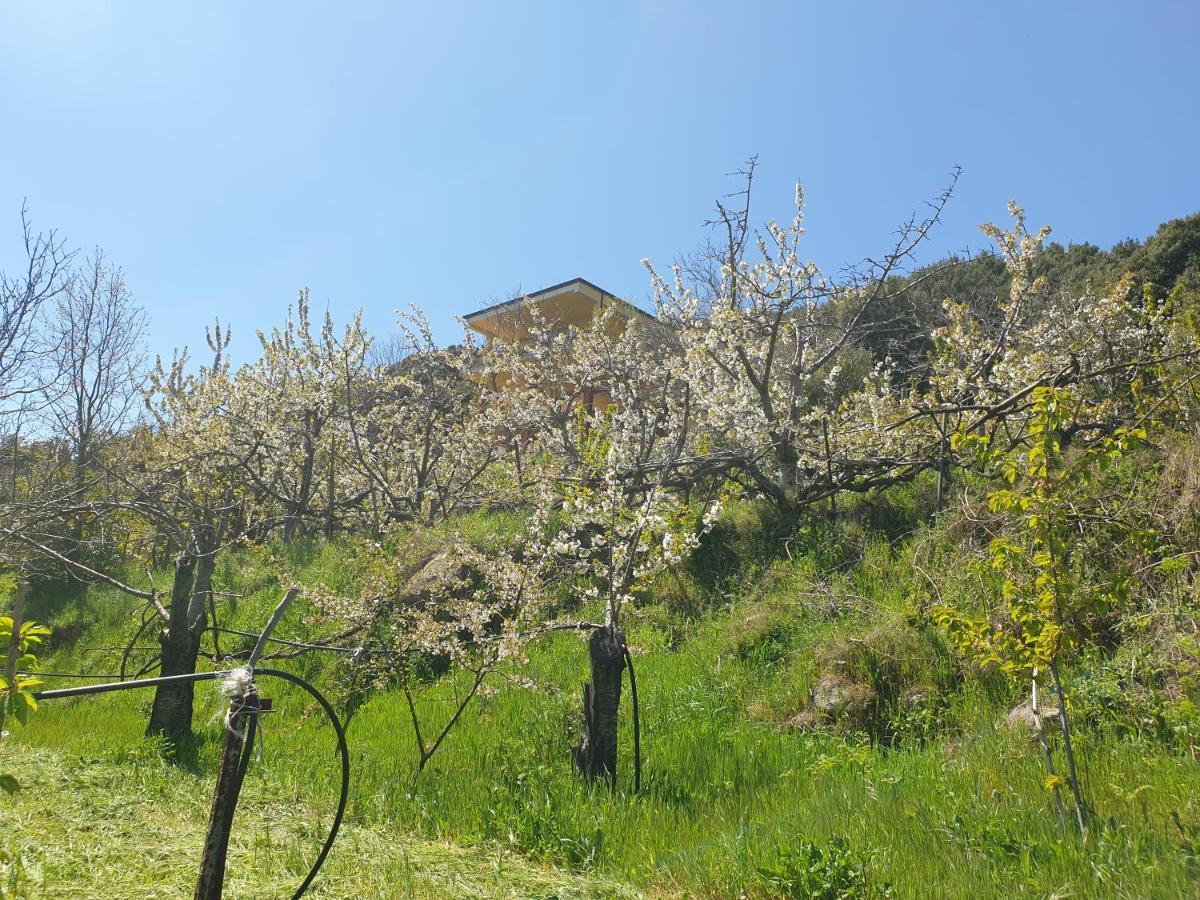 Отель Oasi Del Benessere Ilbono Экстерьер фото